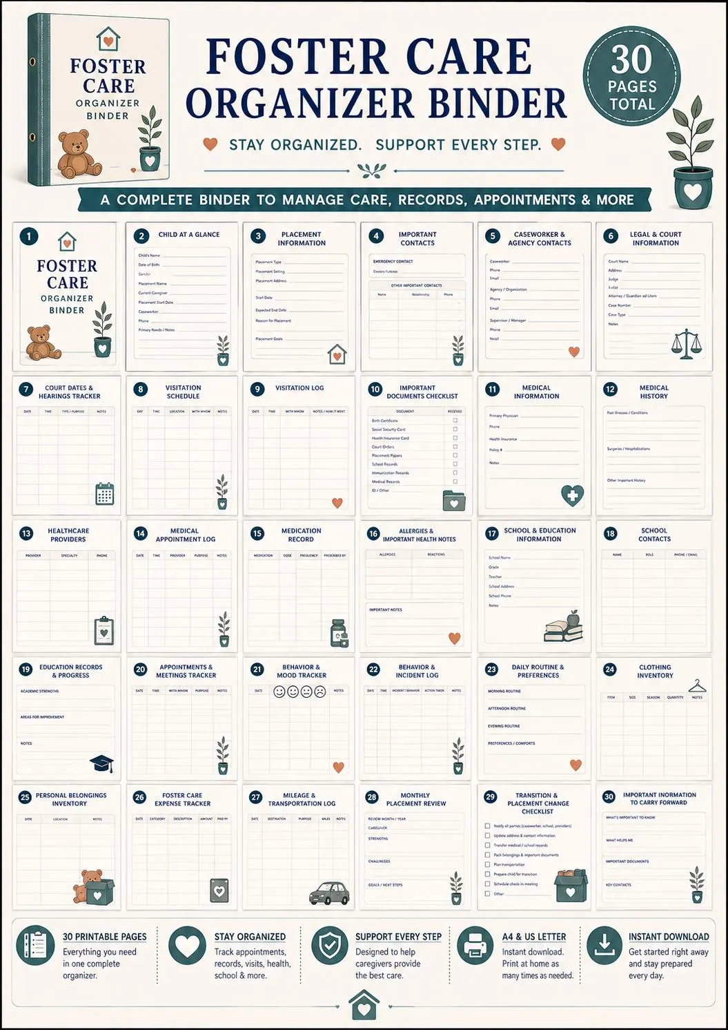 Foster Care Placement Binder preview 8